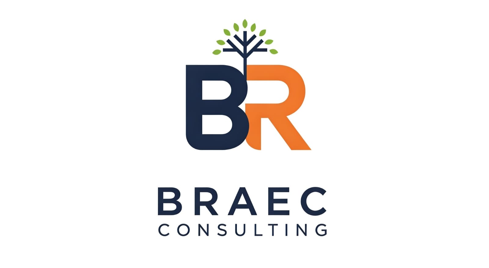 BRAEC CONSULTING